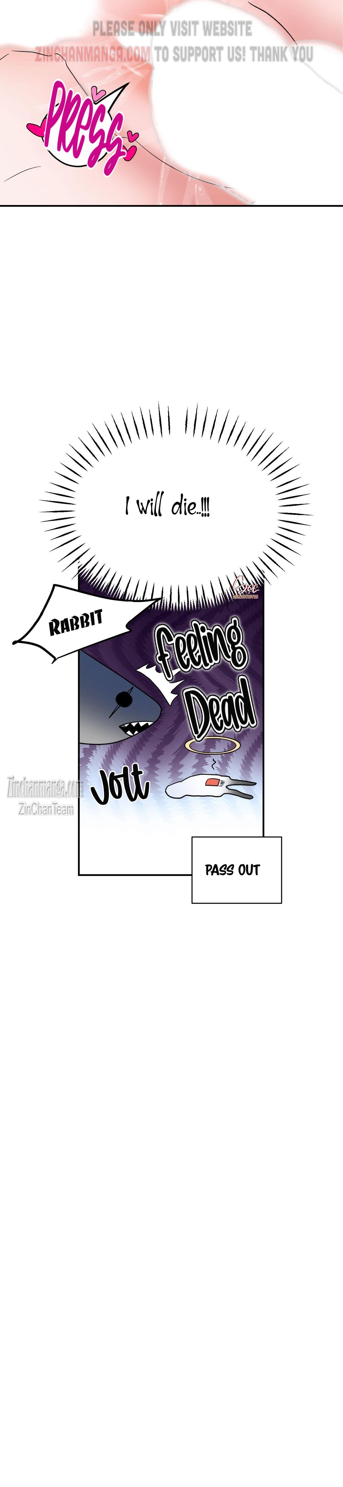 Shark And Bunny Bride Chapter 4 page 32