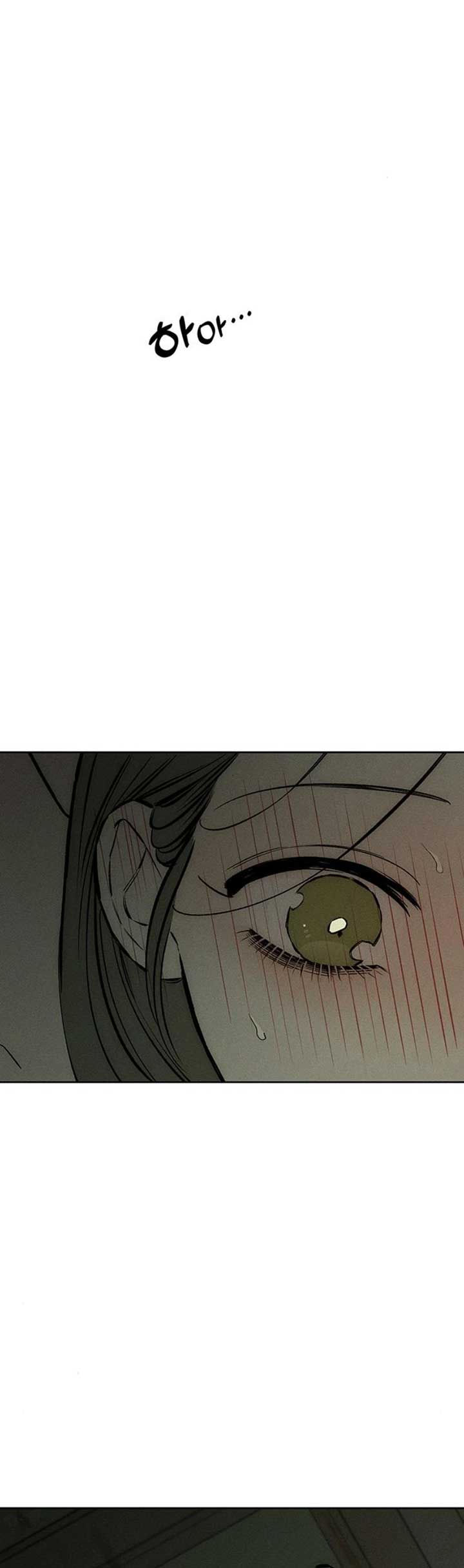 Tears on a Withered Flower Chapter 24 page 17