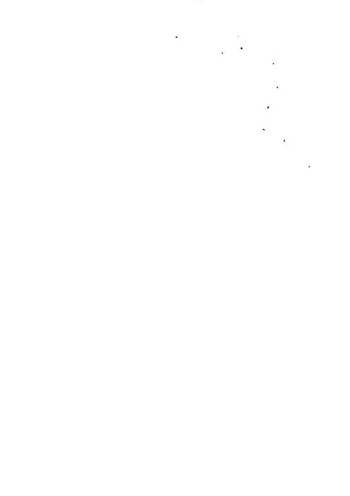 Tears on a Withered Flower Chapter 57 page 12