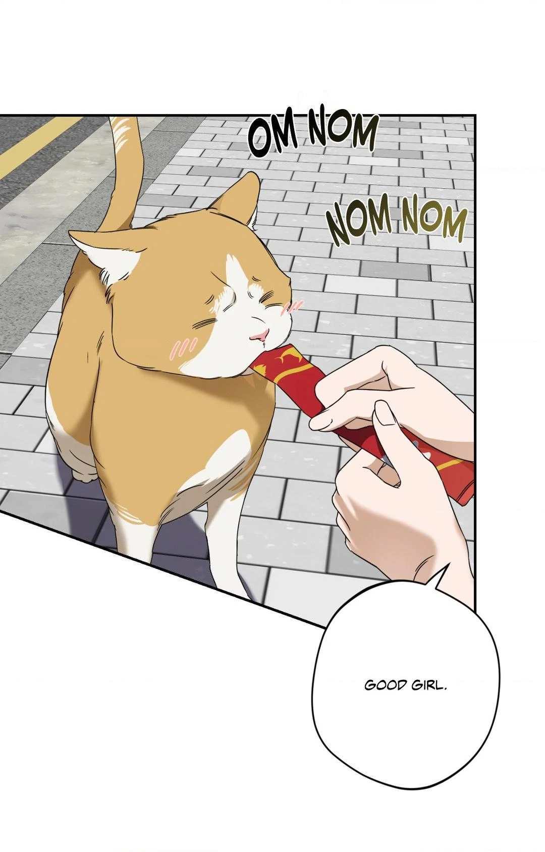 The Tiger’s Bride Chapter 1 page 71