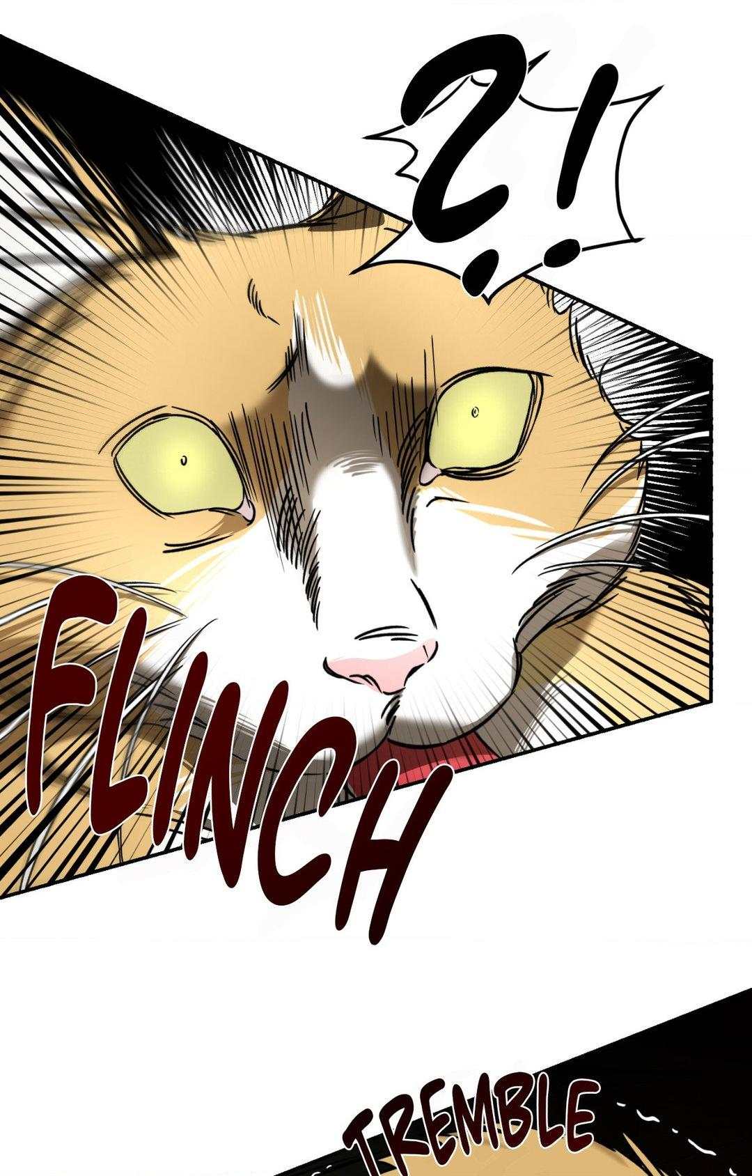 The Tiger’s Bride Chapter 1 page 72